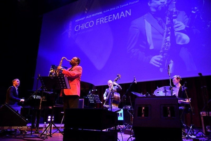 chico-freeman-4.jpg