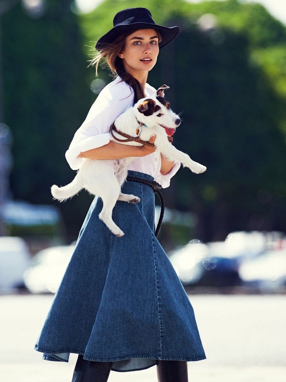 dogs-2.jpg