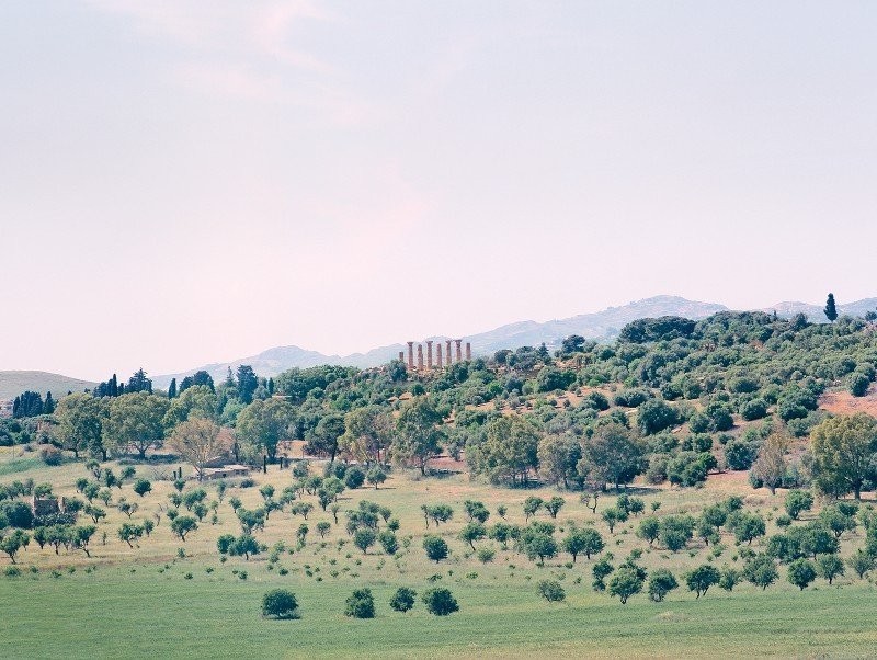 morello-3.jpg