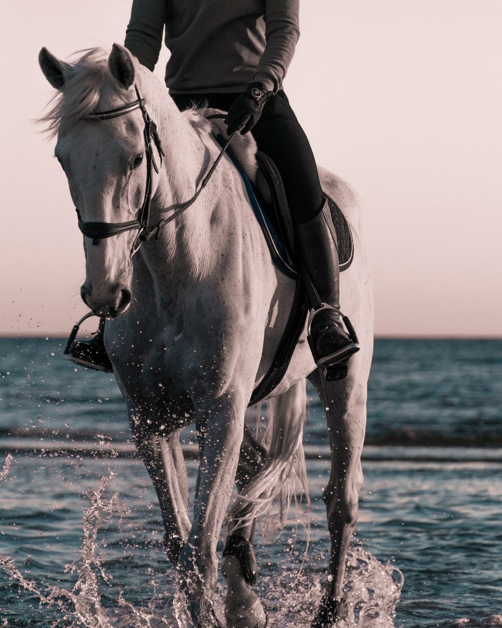 filip-eliasson-qaf4ihtuzv0-unsplash.jpg