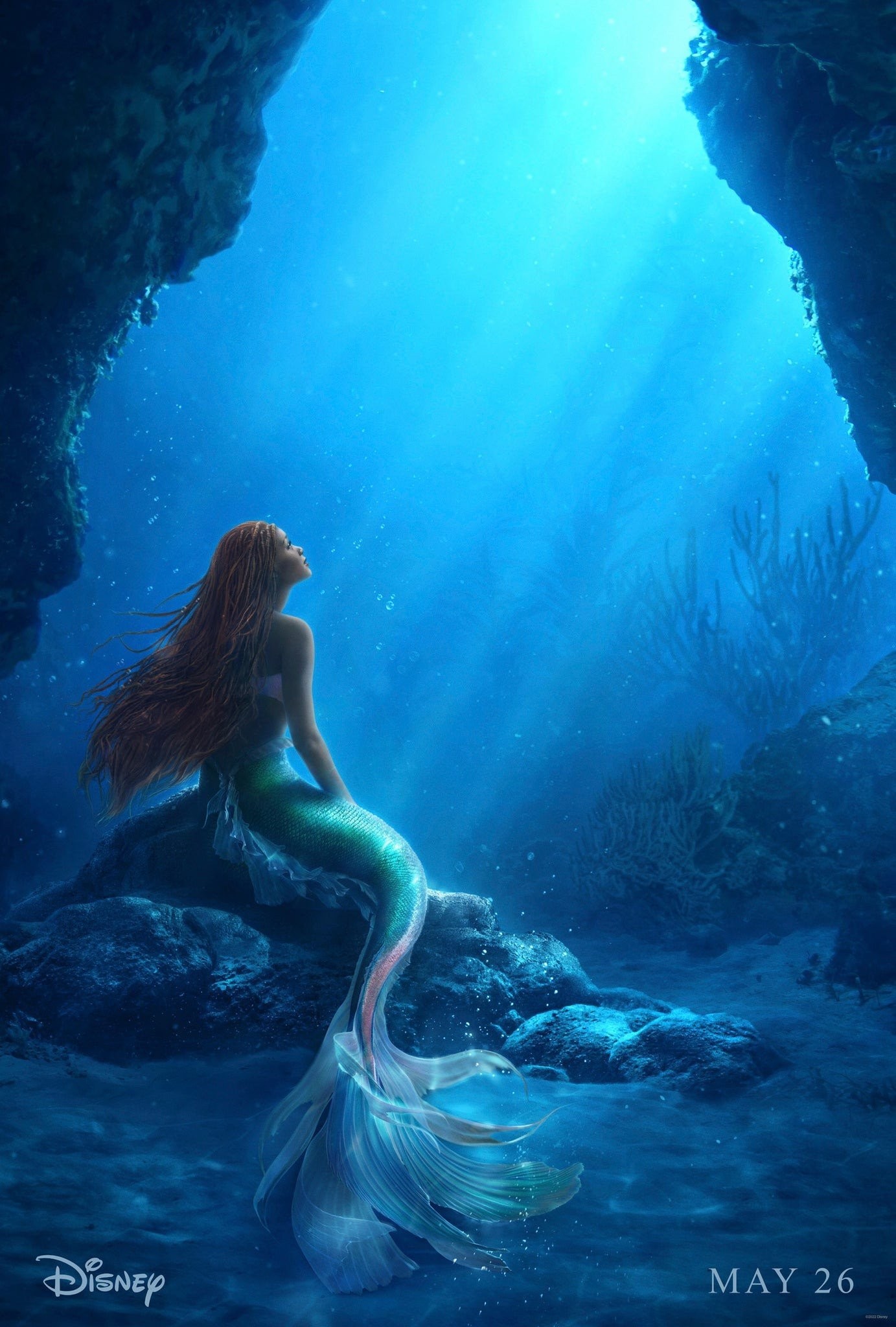 little-mermaid-poster-1665683254319.jpg