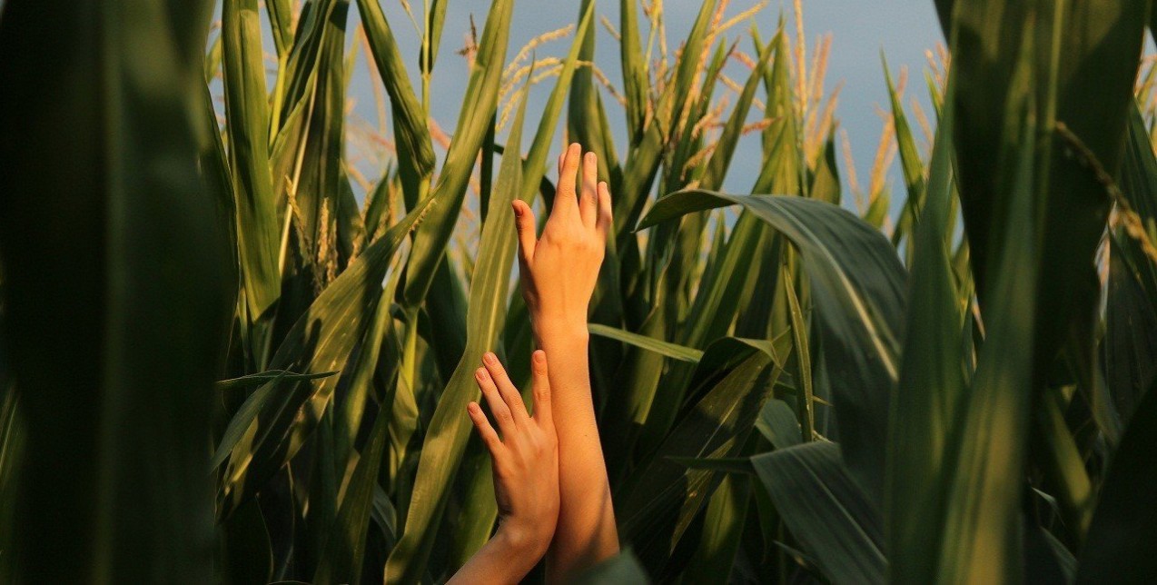 Go green: Τα must-try tips για να υιοθετήσετε έναν eco-friendly τρόπο ζωής