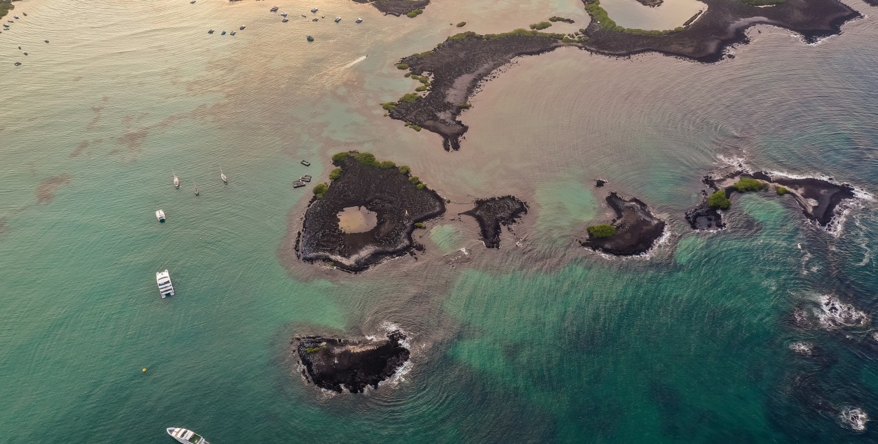 Planet Alert: Το ρεκόρ υψηλών θερμοκρασιών και η σημαντική αλλαγή στα νερά της Μεσογείου