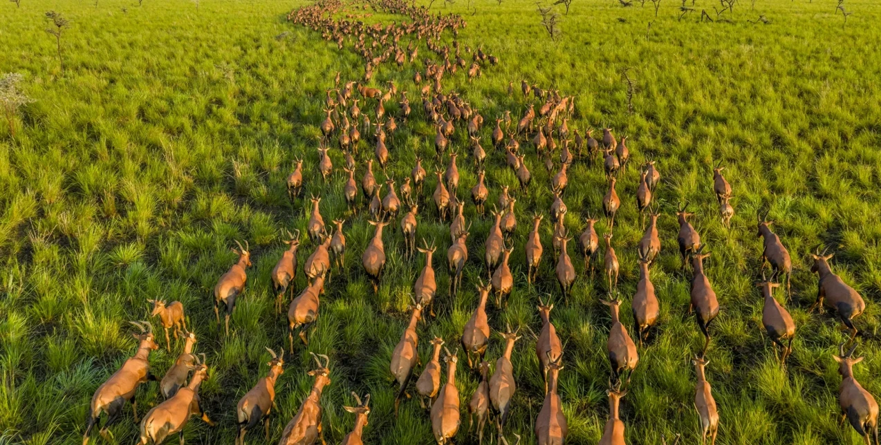 Pictures of the Year 2025: Το National Geographic διάλεξε τις καλύτερες φωτογραφίες της χρονιάς που μας πέρασε