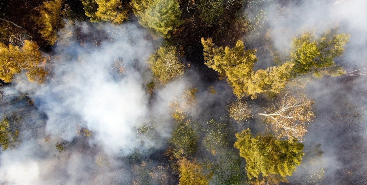 Καυτός αέρας, δακρυσμένα μάτια, δυσκολία στην αναπνοή: Πώς θα είναι ο πλανήτης το 2050 