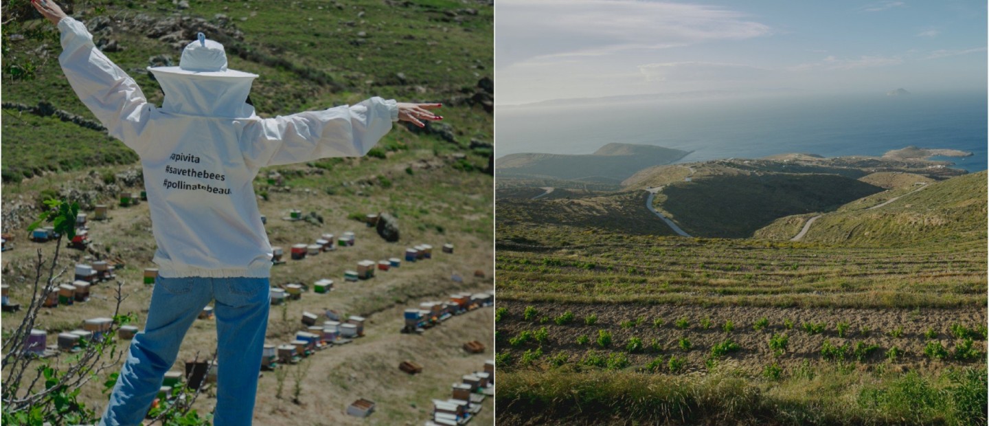 Ένα υπέροχο ταξίδι στη Σέριφο με πρωταγωνιστή τη... μέλισσα