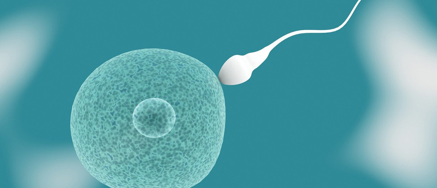 Απαντήσεις σε 10 βασικά ερωτήματα που αφορούν στον ρόλο του άντρα για την επίτευξη μιας υγιούς εγκυμοσύνης