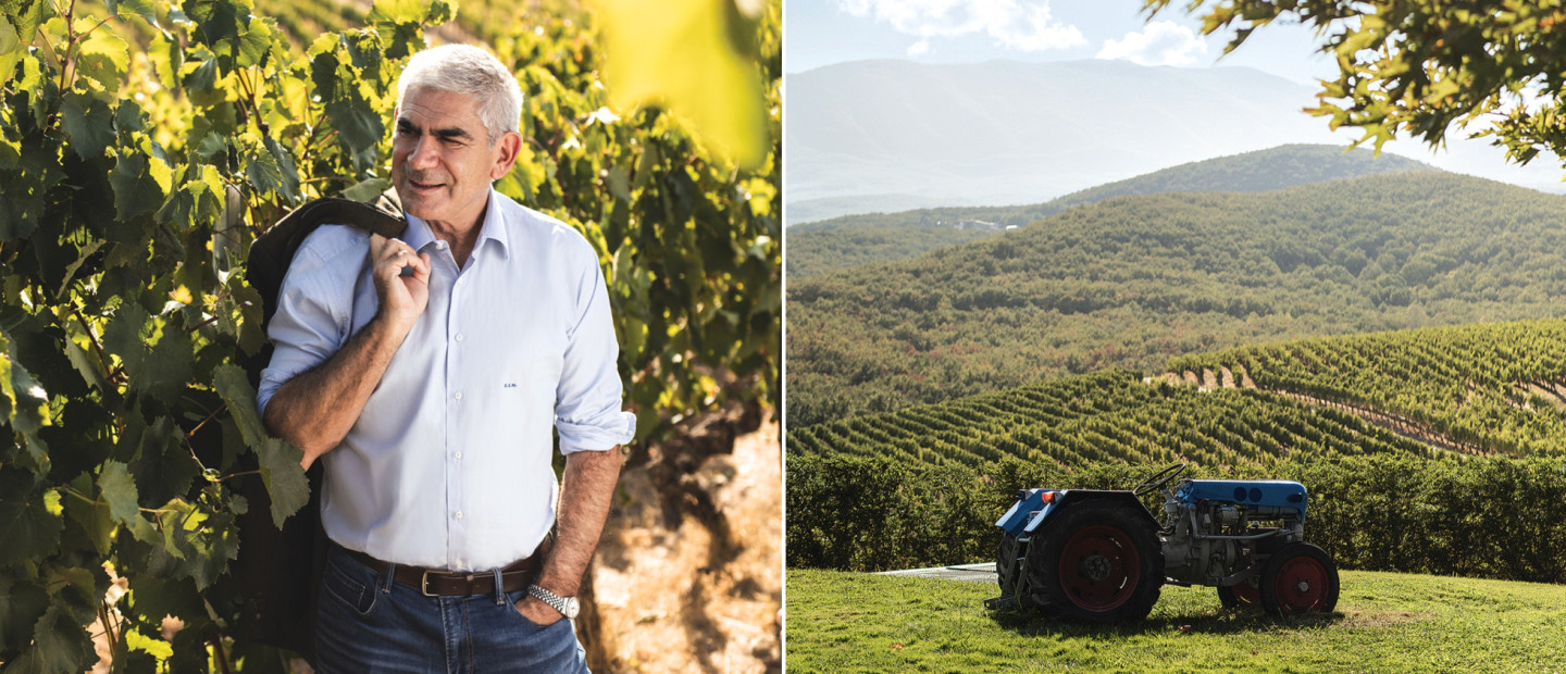 Ο Στέλλιος Μπουτάρης μας υποδέχεται στο Κτήμα του και μιλά για την αγάπη του στο αμπέλι και το μέλλον του ελληνικού κρασιού