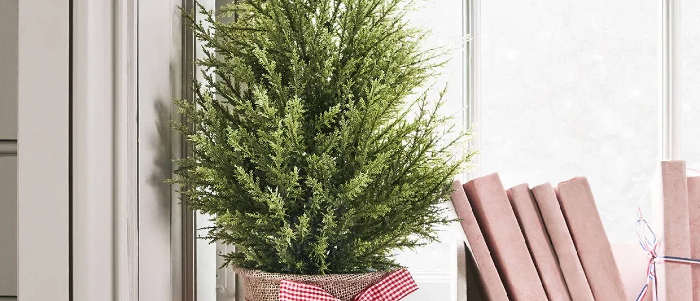 Τα ιδανικά φυτά για να προσφέρετε ως δώρο στα χριστουγεννιάτικα gatherings