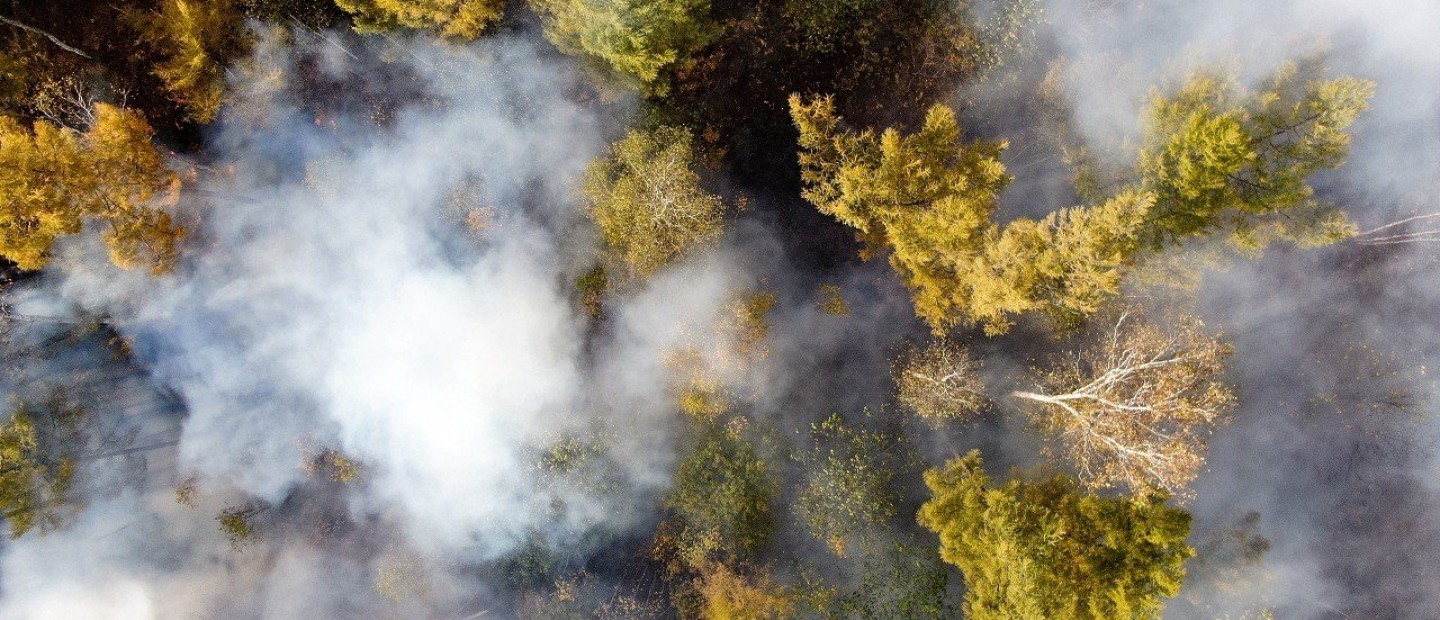Καυτός αέρας, δακρυσμένα μάτια, δυσκολία στην αναπνοή: Πώς θα είναι ο πλανήτης το 2050 