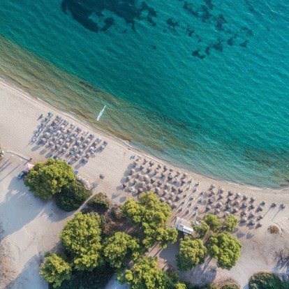 Ατζέντα Χαλκιδικής: Όλα όσα δεν πρέπει να χάσουμε από σήμερα μέχρι την ερχόμενη Δευτέρα 