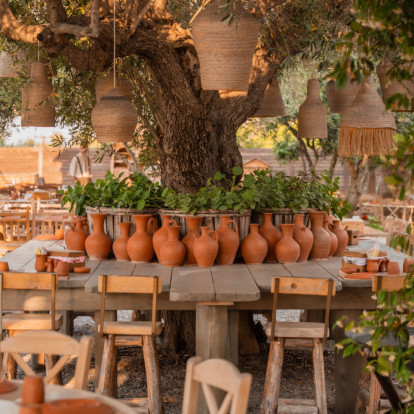 Παραδοσιακή κουζίνα, εποχικά υλικά και signature cocktails σε έναν κήπο στη Χαλκιδική που κρύβει ιστορίες 