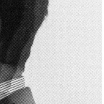 Mykonian Lovers: Το νέο λεύκωμα που κρύβει όλα τα «μυστικά» της Μυκόνου στις σελίδες του 