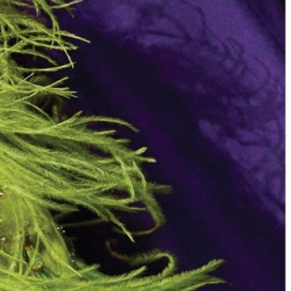 Go green: Oι stylish προτάσεις στο χρώμα της φετινή άνοιξης 
