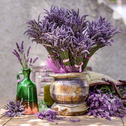 Tα βότανα που μπορείτε να καλλιεργήσετε και να χρησιμοποιείτε στο σπίτι 